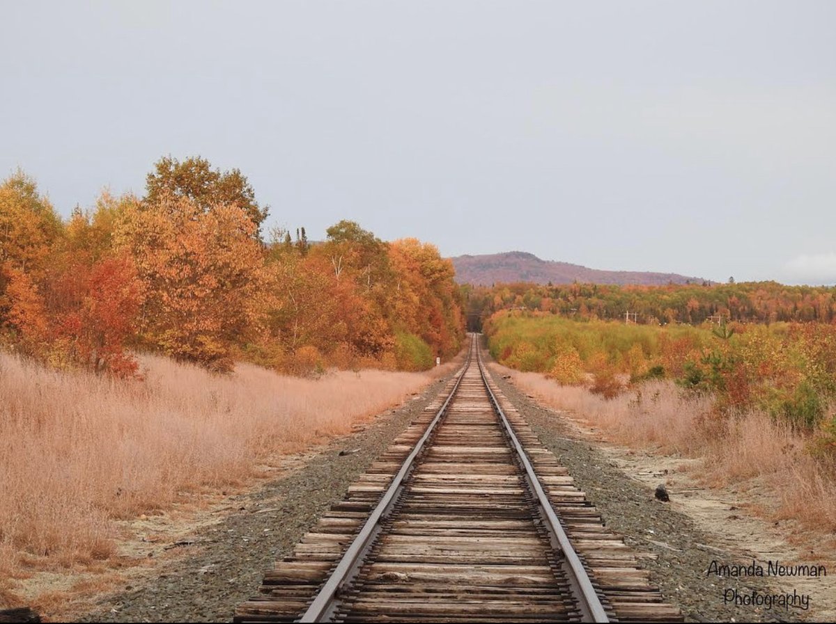 PlymouthState's tweet photo. We have some talented students! π Here are a handful of submissions for the #FallPhotoContest. Hit that π to show them some love!
πΈ credit in order that they appear (TL, TR, BL, BR):
Amanda Newman '25
Seth Parisi '23
Reed Wilson '25
Dylan Durazzano '22
https://t.co/wtQvad3O2k https://t.co/DwyR0FrKQQ
