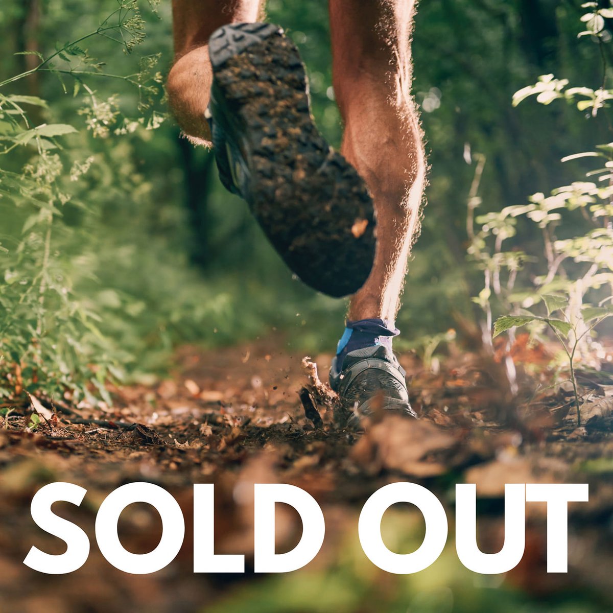 Hopton Court Trail Run tweet media