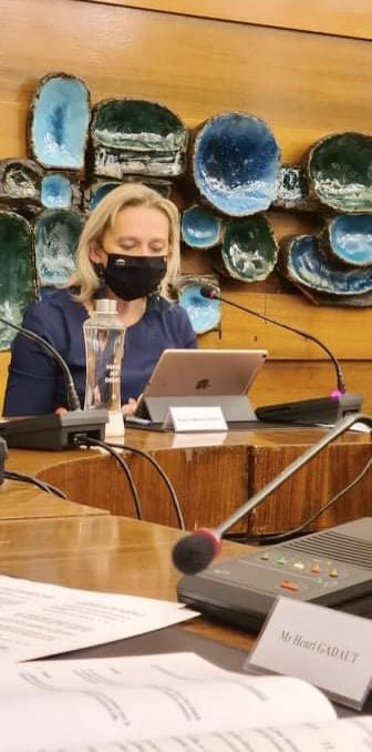 Ce soir au conseil municipal de #Wattrelos, je suis très heureuse de présenter la délibération pour attribuer une subvention de 30 000€ à notre commune jumelle d’Eschweiler, durement touchée par les inondations meurtrières de juillet.
Wattrelos une ville au ❤️qui bat!