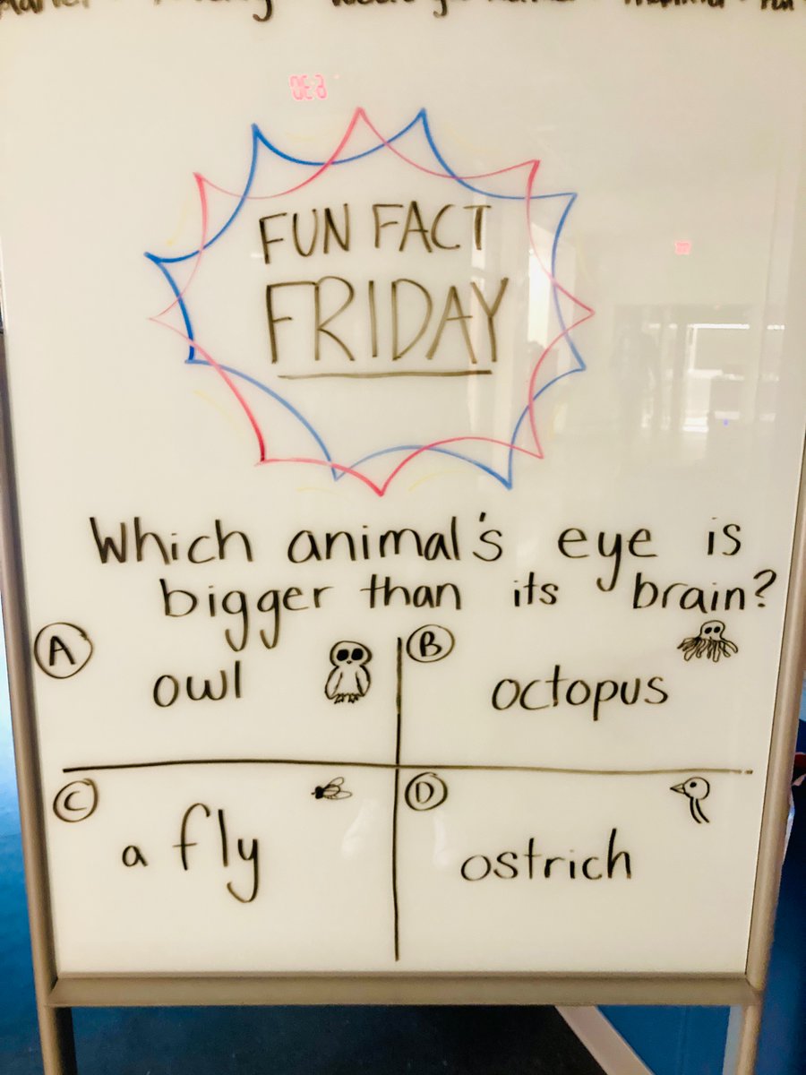 Kurk Pyros tweet media