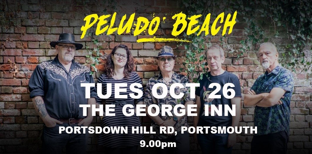 Next Tuesday for all you good folks in the Portsmouth area - Peludo Beach will be playing at The George Inn, Portsdown Hill. We'd love to see you! #Georgeonthehill #PeludoBeach