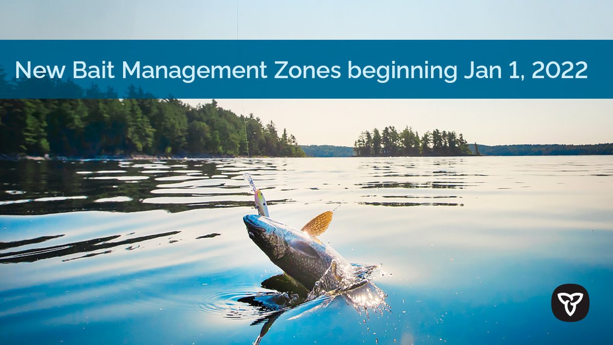 Ontario is protecting the province’s fisheries and the industries that rely on them by creating Bait Management Zones. 

Beginning January 1, 2022, Ontario will have new requirements for transporting and using baitfish and leeches.

Learn more: Ontario.ca/bait