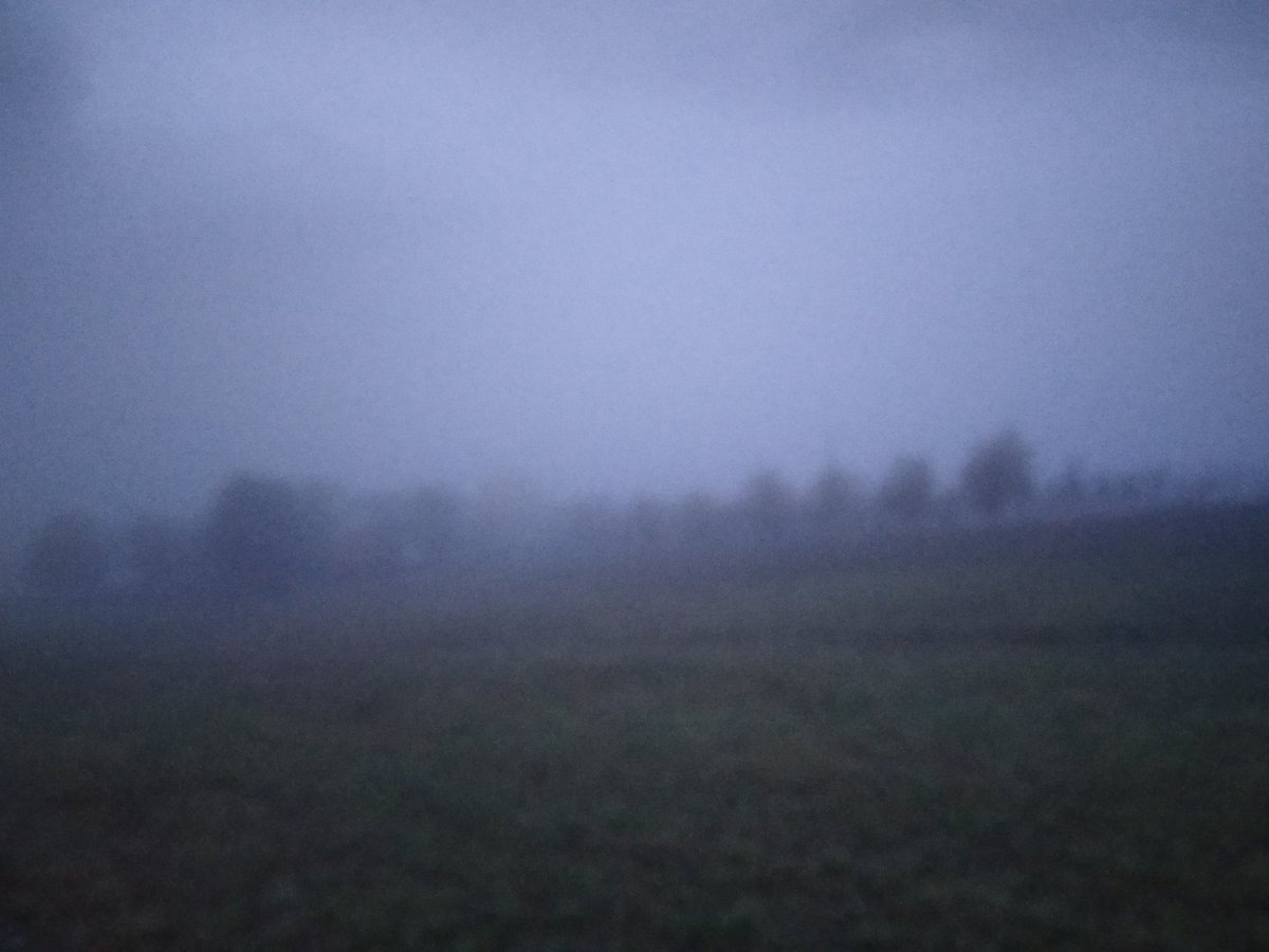 BerislavB's tweet photo. @otooltvanji ustupam bez nadoknade za zbirku horor priฤa.
#nofilter
#naturalhorror https://t.co/Lp8hsDeCBr