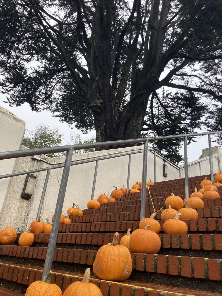 Henry Wong☮️ tweet media