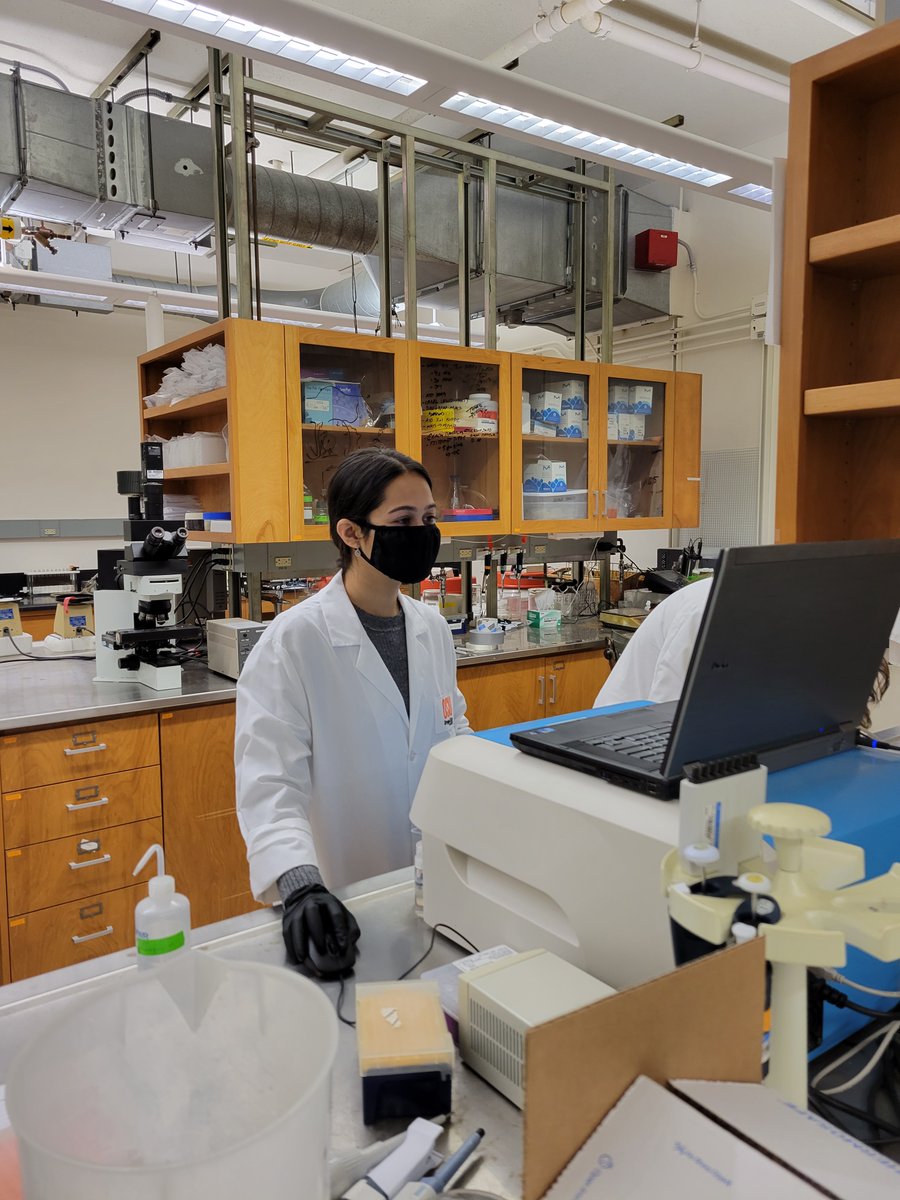 Oregon State Microbiology Grad Students tweet media