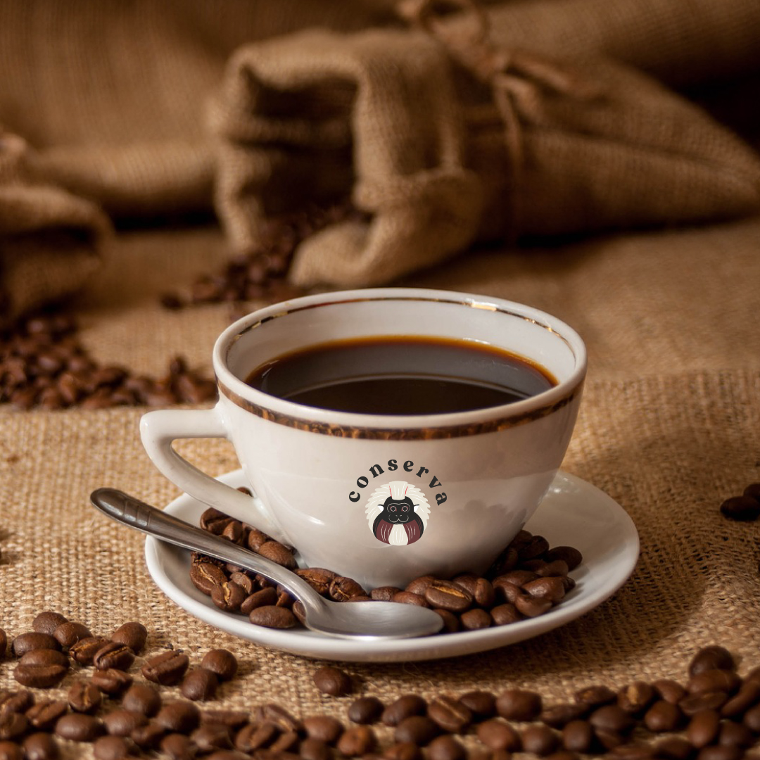 Café Conserva tweet media