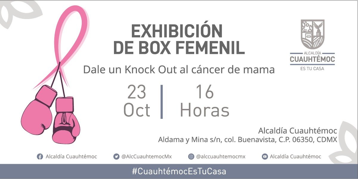 AlcCuauhtemocMx's tweet photo. #CuauhtémocEsTuCasa🏠impulsamos el #deporte y el sano esparcimiento. Te invitamos a la #Exhibición de #box femenil y ¡Dale un #knockout al #CáncerDeMama🎀!
Participan👇
🥊 Ibeth #LaRoca Zamora
🥊Guadalupe Martínez
🥊Mary #LaExplosiva Villalobos
📆23 de octubre
⏰ 16:00 hrs. https://t.co/QByDXLqIuo