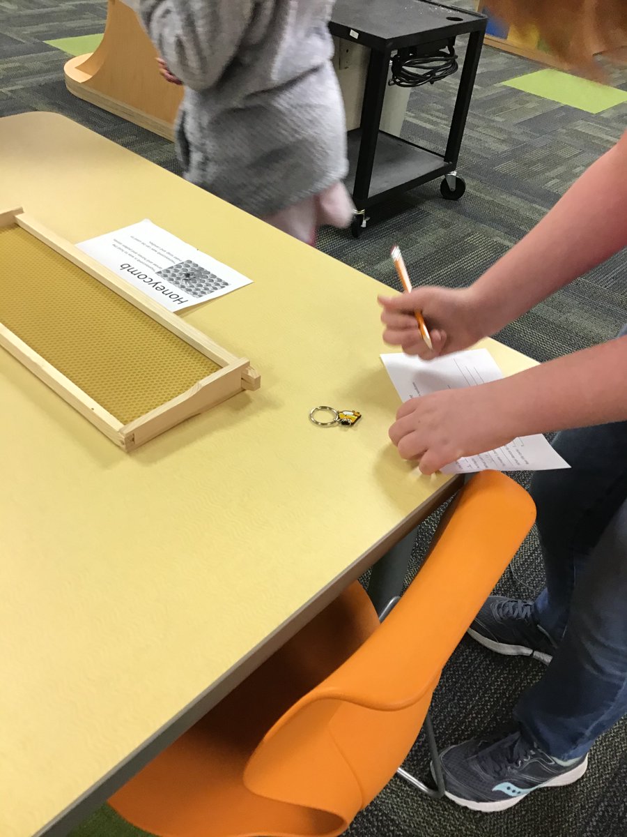 DfesLibrary's tweet photo. We had fun learning about our little friends in the library for Bee Week! See what all the "buzz" was about! @fox_cubs @LexRich5Schools #pridein5 #beeweek #bees https://t.co/2CW74xGYij