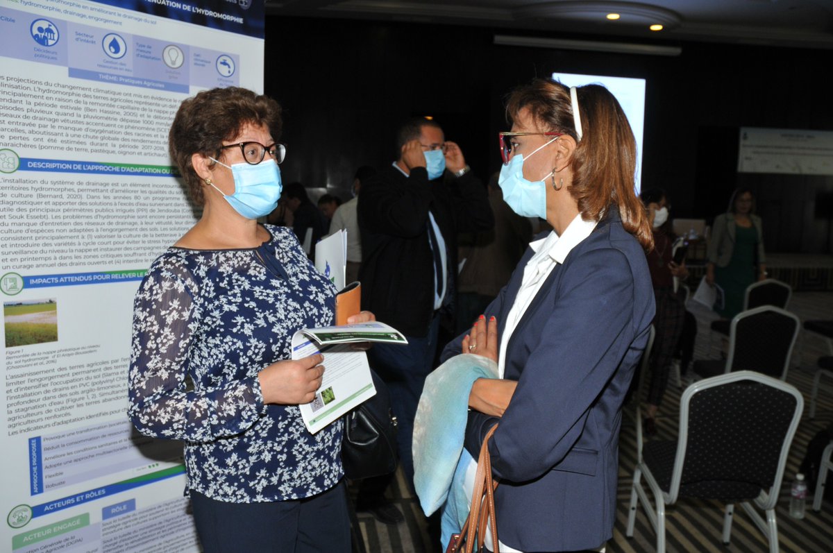 FasterH2020's tweet photo. Relive the best moments of our #FasterConference afternoon session in Tunis🌱
#FASTERH2020 https://t.co/Q9GzTusjFV