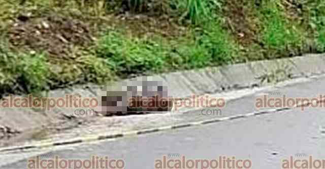alcalorpolitico's tweet photo. #NoticiasAlCalor 🔥| Lo mataron a balazos, en carretera de #Teocelo. Vendedor de pollos que iba en motocicleta fue hallado asesinado en camino a #Cosautlan.
https://t.co/wisTg6UskN
#ChécaloEnAlCalor https://t.co/3ia5MFVuMz