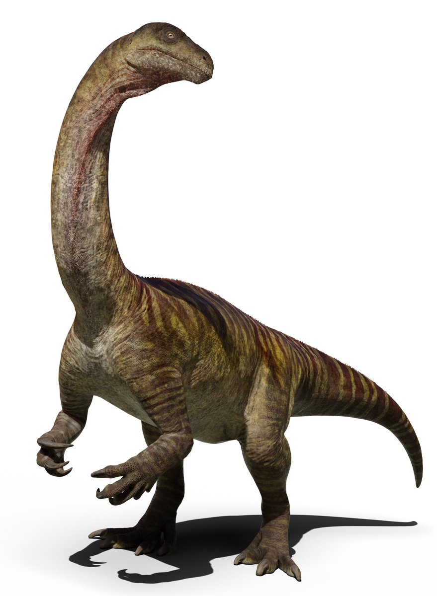 Sarahsaurus aurifontanalis.