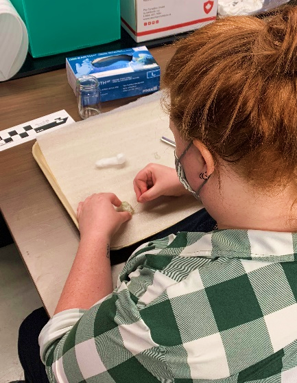 MuseumOntArchaeology tweet media