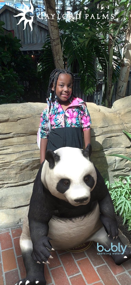 littleponeyexp1's tweet photo. #FallBreak2021 #GaylordPalmsResort #LittlePoneyExpressTours #Panda https://t.co/bkcaBB7flR