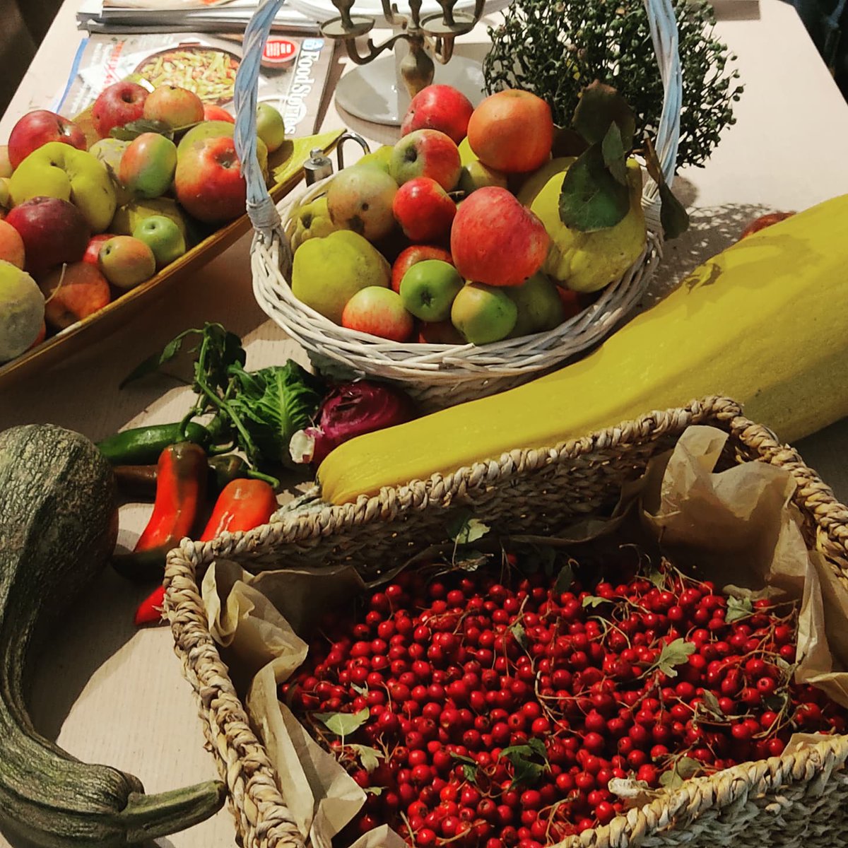 Elzerv's tweet photo. About.. #harvest 🍎🌶️🍏
#harvesting #cretannutrition #crop #2021 #crete #agriculture #cretanmountains  #myhobby #fruit #veggies .. let's cook! #Twitter https://t.co/JnTNfGX6KM