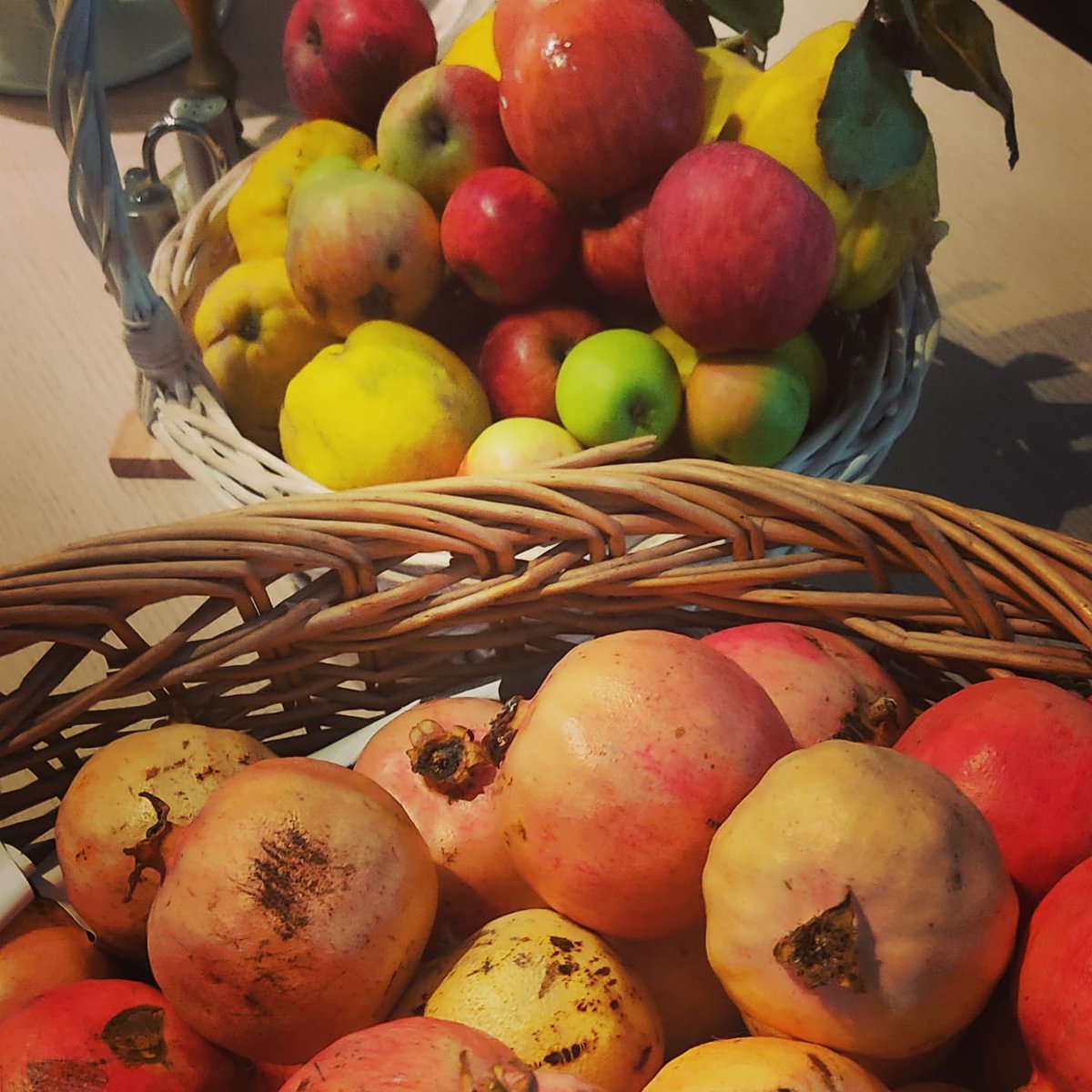 Elzerv's tweet photo. About.. #harvest 🍎🌶️🍏
#harvesting #cretannutrition #crop #2021 #crete #agriculture #cretanmountains  #myhobby #fruit #veggies .. let's cook! #Twitter https://t.co/JnTNfGX6KM