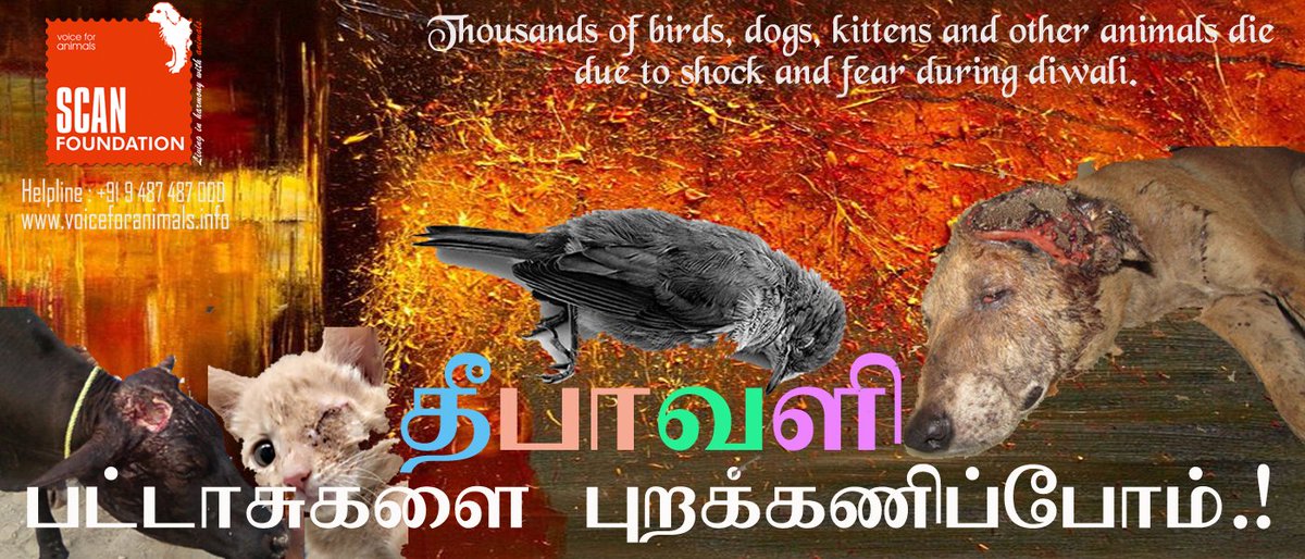 Voice for Animals tweet media