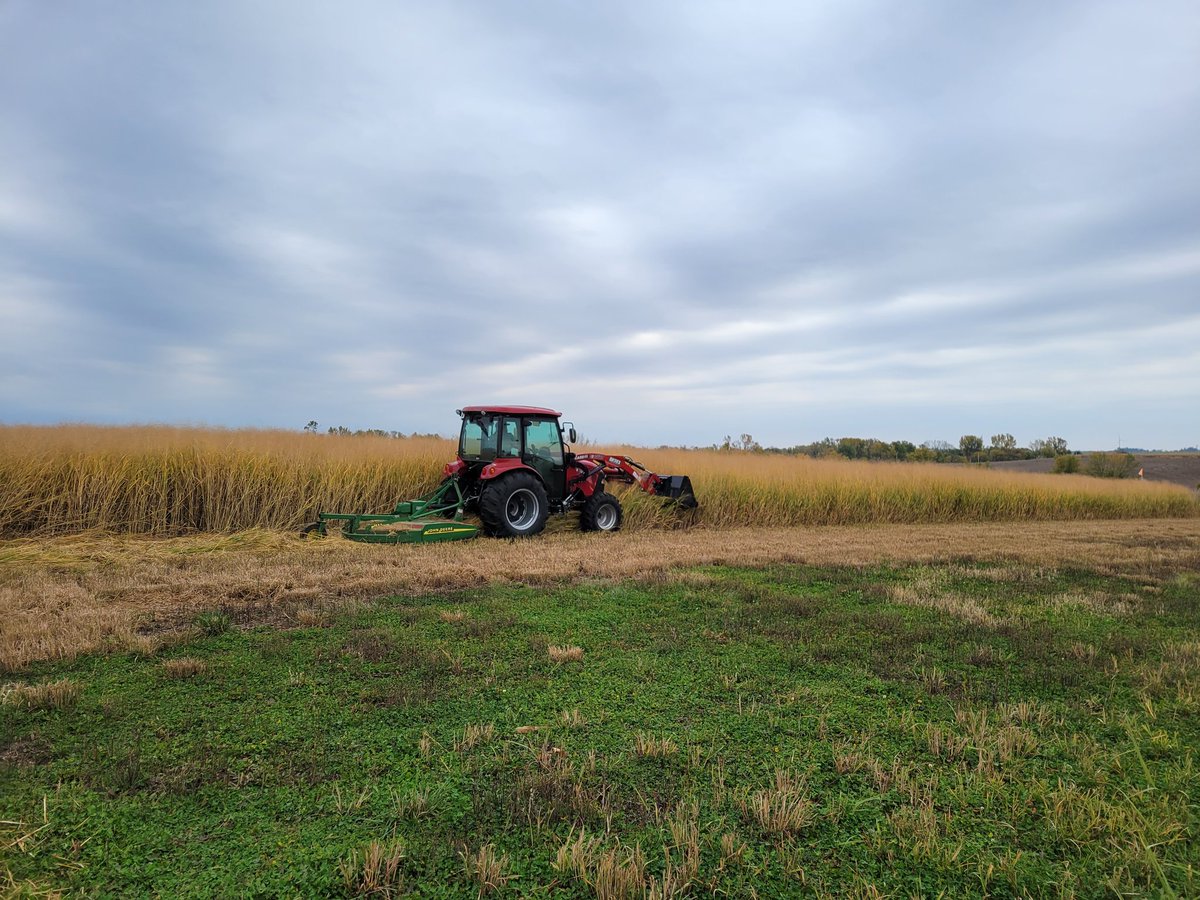 Patmos_Sphere's tweet photo. Another great #fieldworkfriday with @nicboer83 and @ISUBiomass harvesting #switchgrass #biomass Couldnt ask for a better fall. https://t.co/ozDLhGhCxu