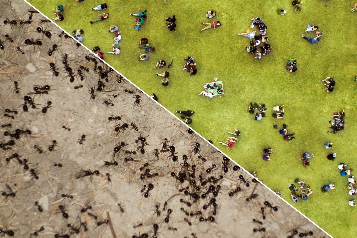 Alejandro Esc (@Alejandro_Esca) / Twitter