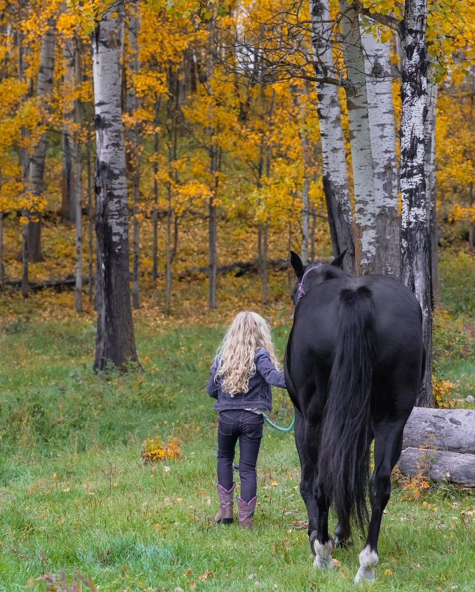 PenkeeMedia's tweet photo. got to take some photos of that beautiful connection between a little girl and her horse. 🐎💕💕

#autumn #photography #yegphotographer #fallphotoshoot  #horsephotograpy #agirlandherhorse #familyphotoshoot #yeglocal #momboss #myownboss #penkeeproductions https://t.co/oPdNEK2t7v