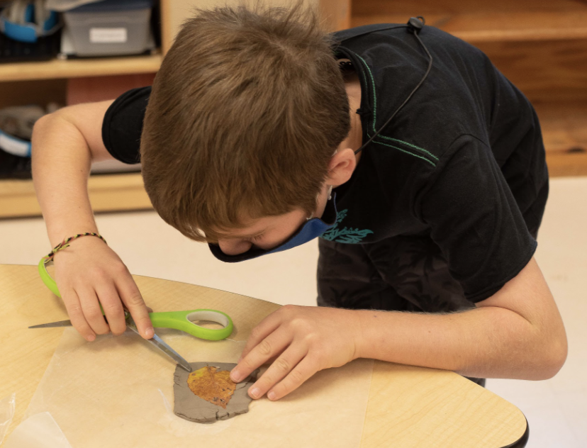 DukeSchool1's tweet photo. From simulating pollution’s impact on macro-invertebrates to making art from plants discovered in the riparian buffer zone, DS 4th graders are learning all about rivers for their first project of the year!
#OnlyAtDS #dsprojectwork https://t.co/rQuEHQgSxN