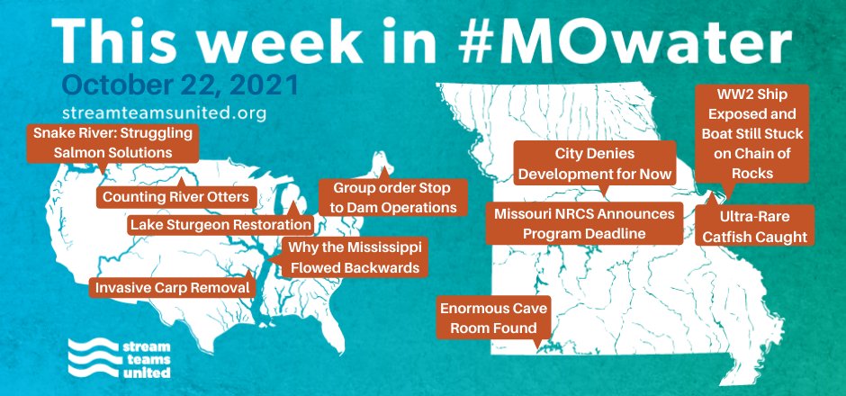 Stream Teams United tweet media