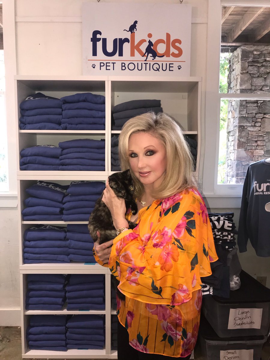 morgfair's tweet photo. Yesterday I visited the wonderful rescue group ⁦@furkidsinc⁩ where I got to cuddle little adorable and adoptable kitties like this. I’m doing a fundraiser for them Saturday night. Check out the following tweet for more info🐈‍⬛Love and cuddles 🥰 https://t.co/WyPiHp4ybE