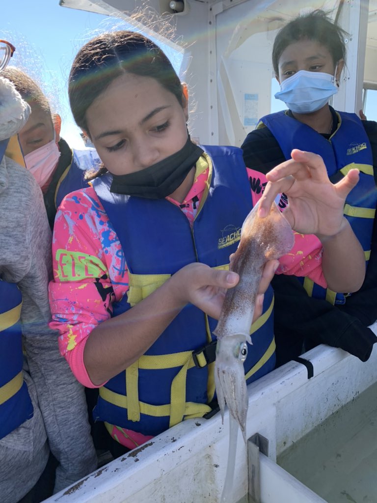 @kennelly_school 6th graders enjoying the beautiful weather on the sea with @Proj_Oceanology … we learned tons about biotic and abiotic parts of the ocean! @Hartford_Public @HartfordSuper