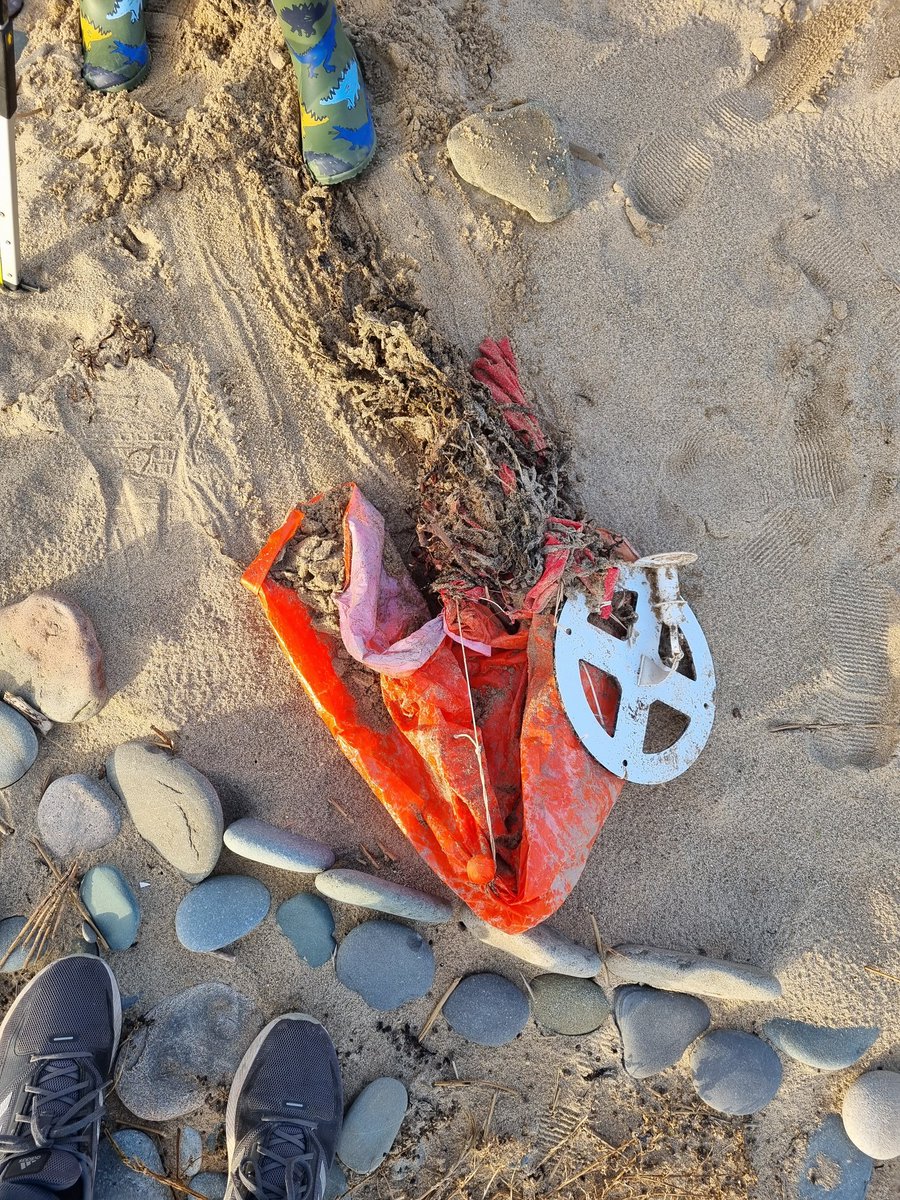jenny_anglesey's tweet photo. Random finds during today's litter pick on Llanddwyn #Anglesey https://t.co/VTAa6Fv9Fk