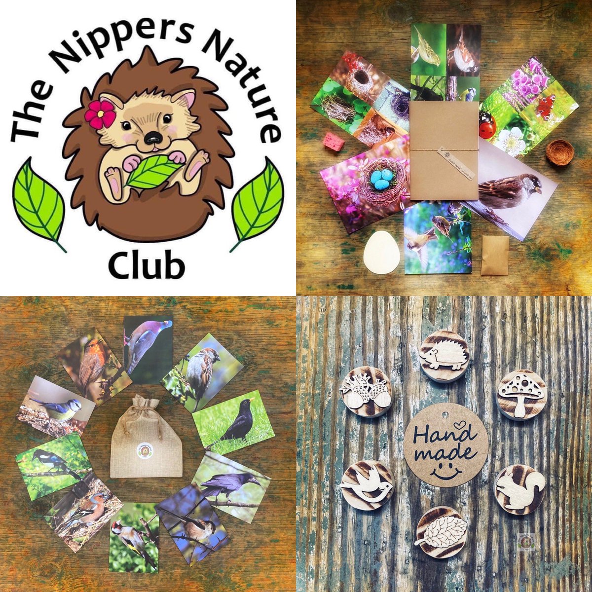 The Nippers Nature Club 🍃 tweet media