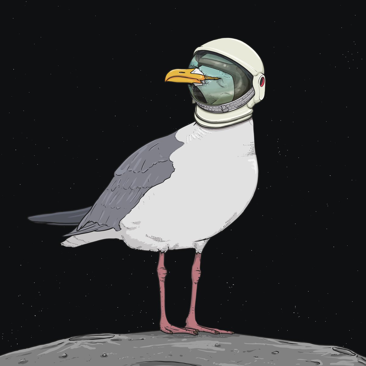 crypto_seagulls's tweet photo. @elliotrades Seagulls https://t.co/sVl1sDTavy