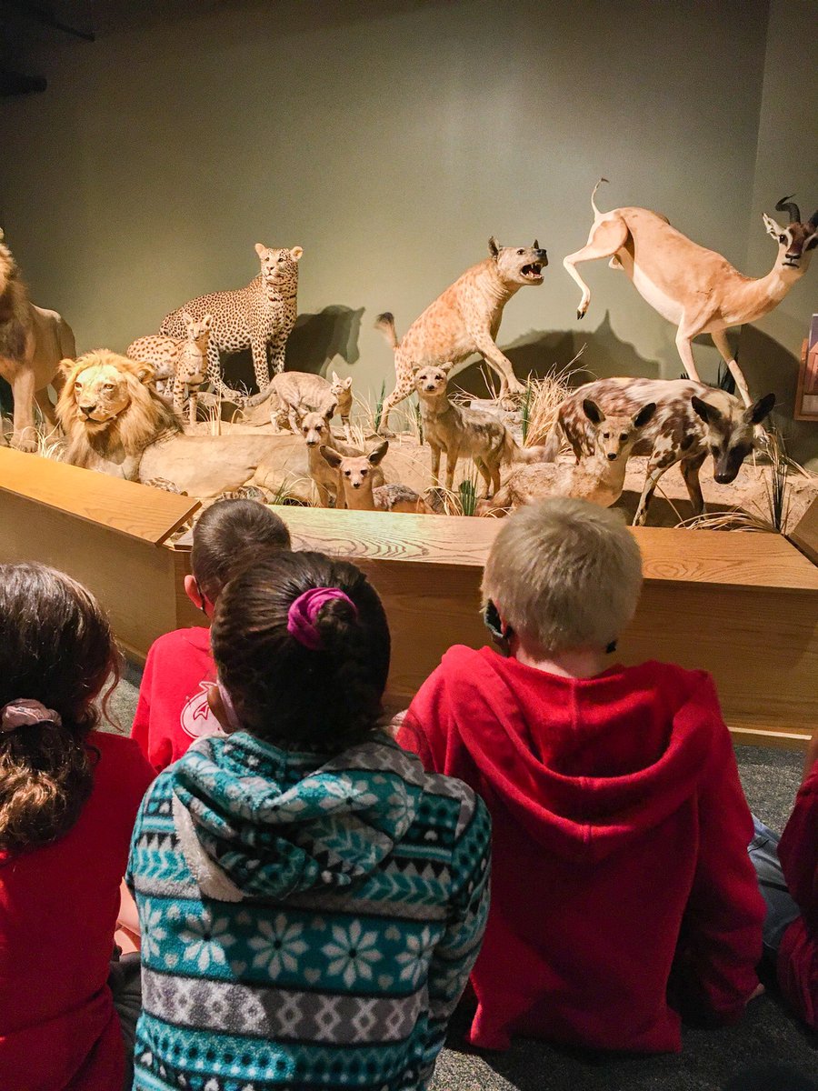 msmcclain204's tweet photo. Third Grade Field Trip - Oaks Museum
Student (pointing to zebra): “He looks like ice cream.”
#FridayFunday #HampdenDragons https://t.co/IfJBGGppi1
