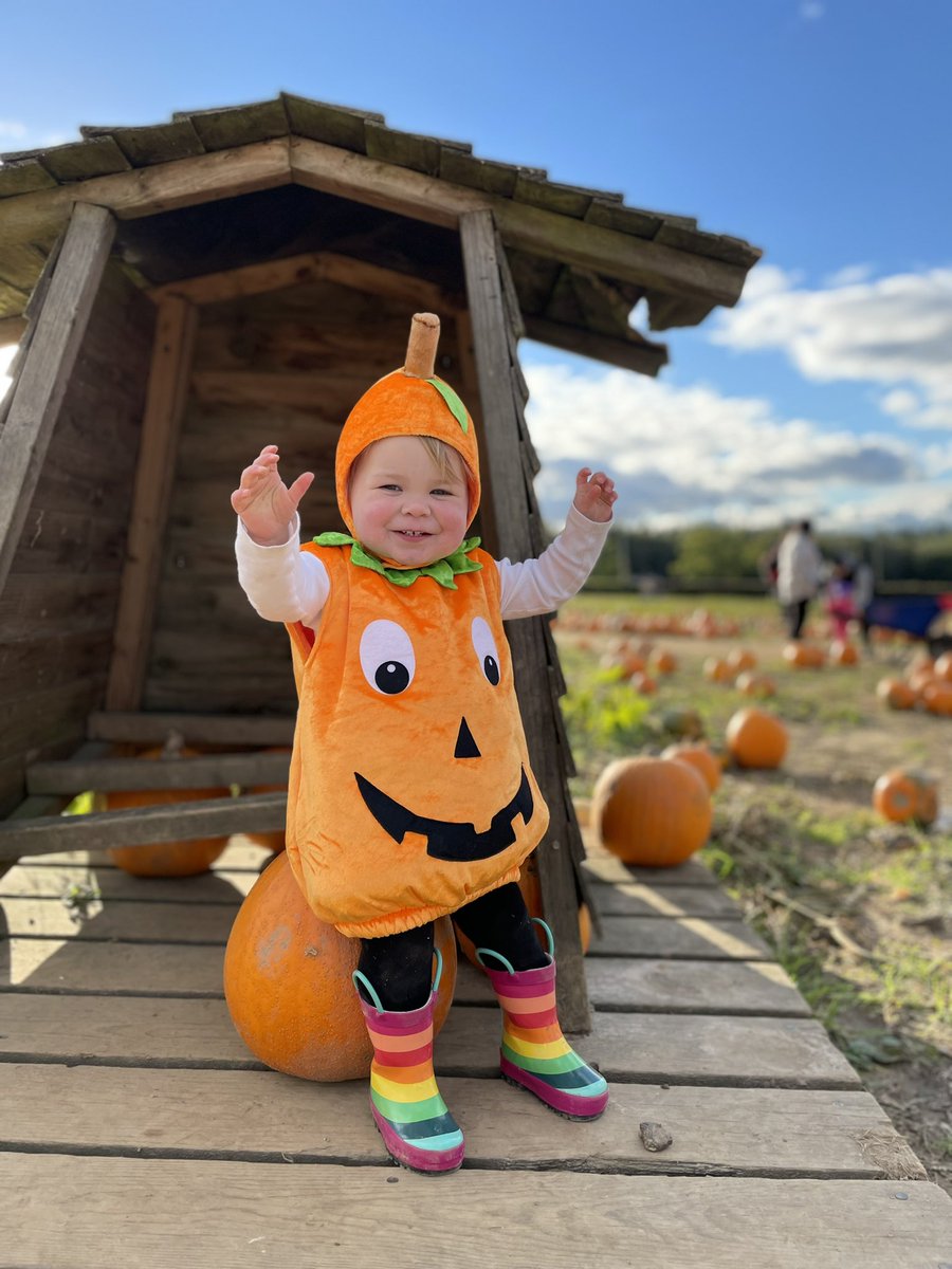 BecButler_'s tweet photo. Best day out with my little pumpkin 🎃 @Tulleys_Farm #tulleysfarm #pumpkinpatch #pumpkins #Halloween https://t.co/WxfEY871cQ