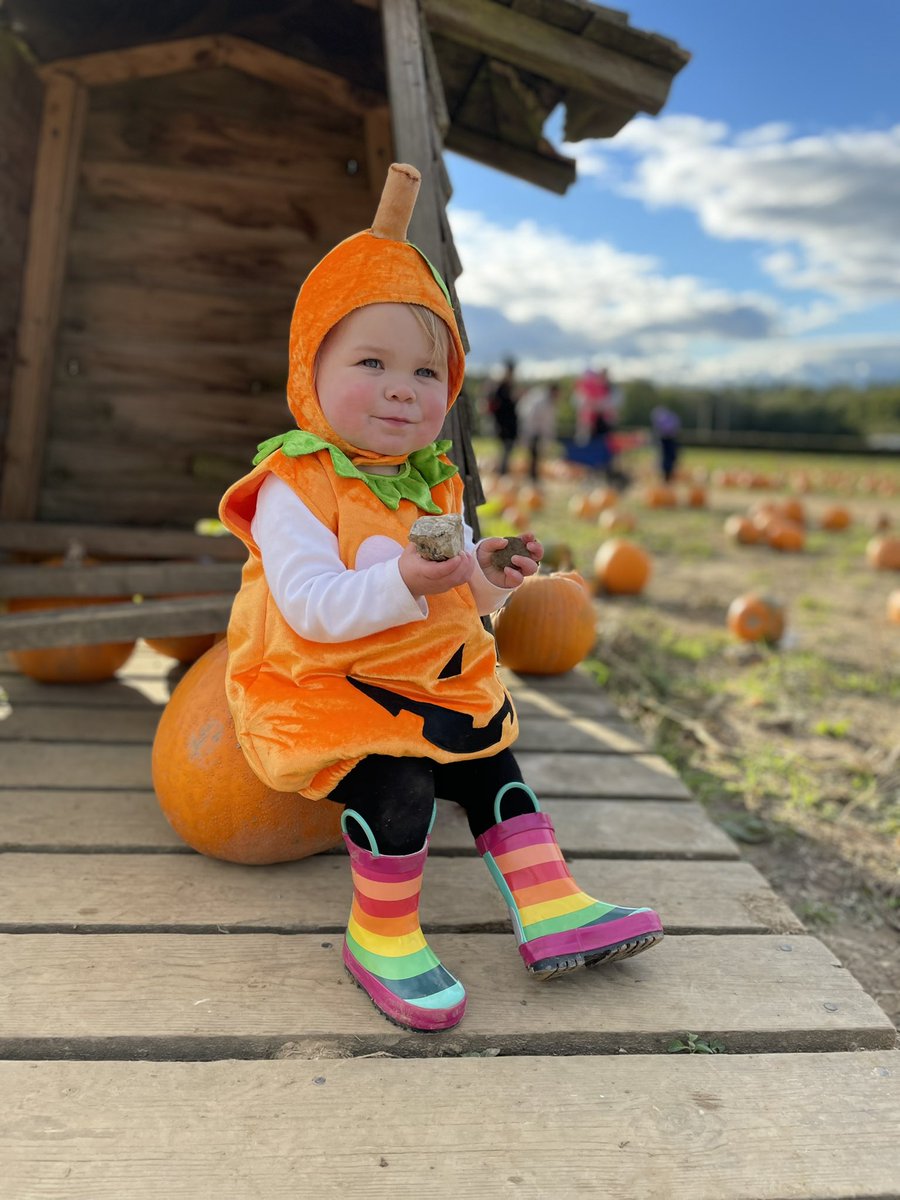 BecButler_'s tweet photo. Best day out with my little pumpkin 🎃 @Tulleys_Farm #tulleysfarm #pumpkinpatch #pumpkins #Halloween https://t.co/WxfEY871cQ