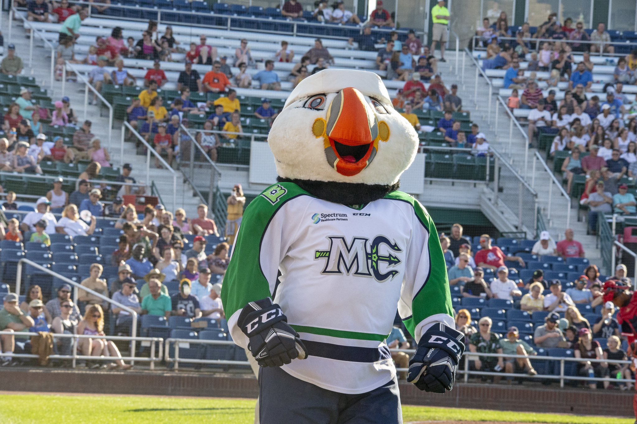 maine mariners mascot