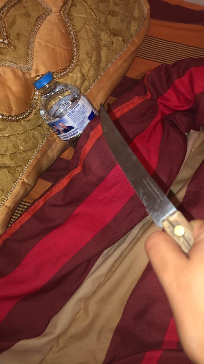 Lyna🌸 #ChercheUnBoulot tweet media