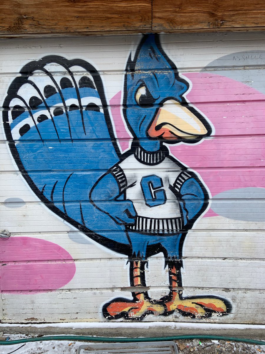 davidbuwalda's tweet photo. Spotted in Toronto (West End) March 13, 2021, 4:15pm. Possible Blue Jay (Cyanocitta cristata). #birdsofspraywatch https://t.co/Pj73Dd2cKN