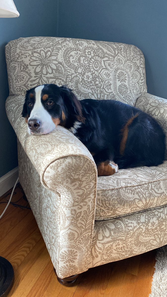 Jerome Cunningham tweet media