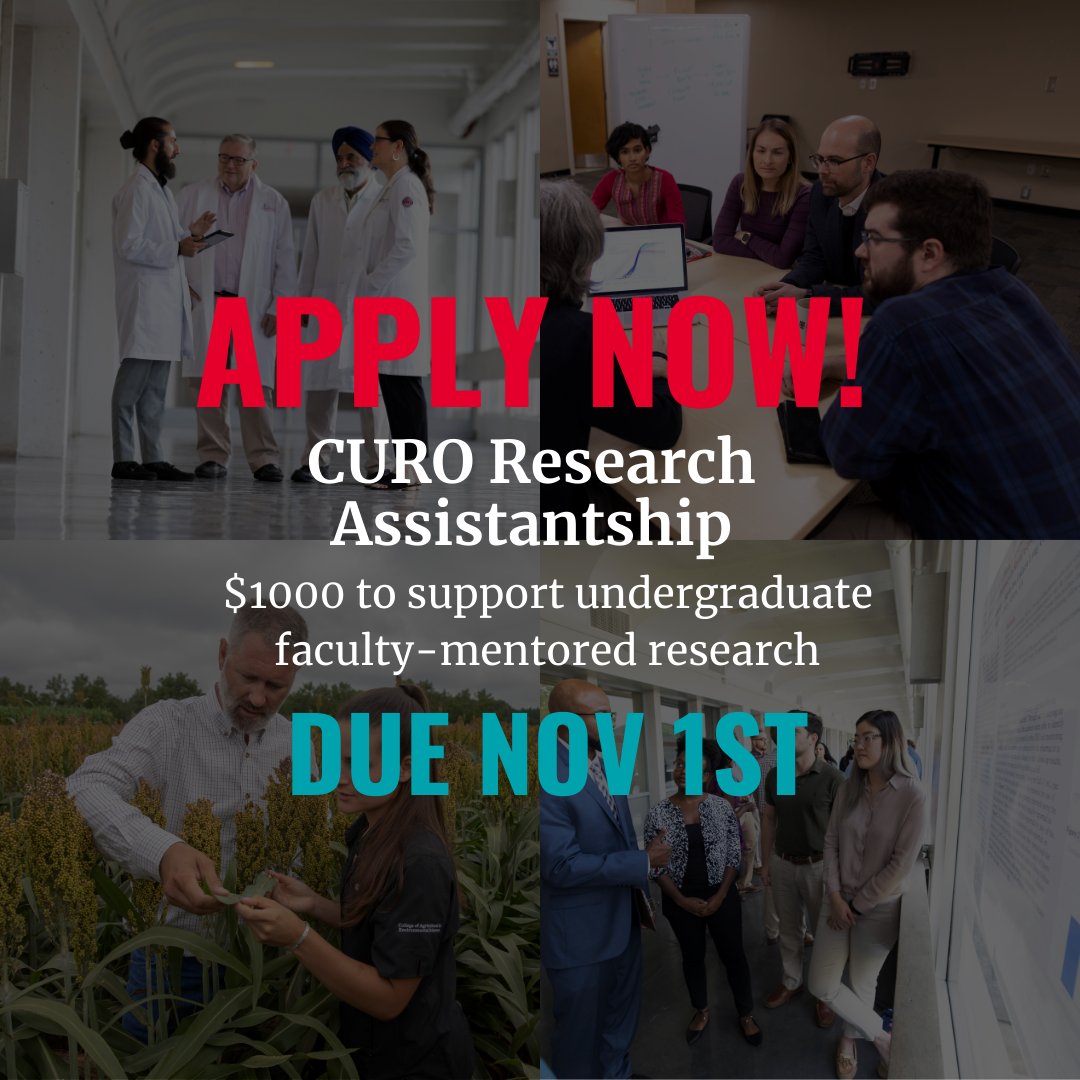Are you an undergraduate conducting research with a UGA faculty mentor? Will you be conducting research with a UGA faculty mentor this spring? Apply for a CURO Research Assistantship! The deadline is Nov. 1 at 4 p.m. EST. More at curo.uga.edu.