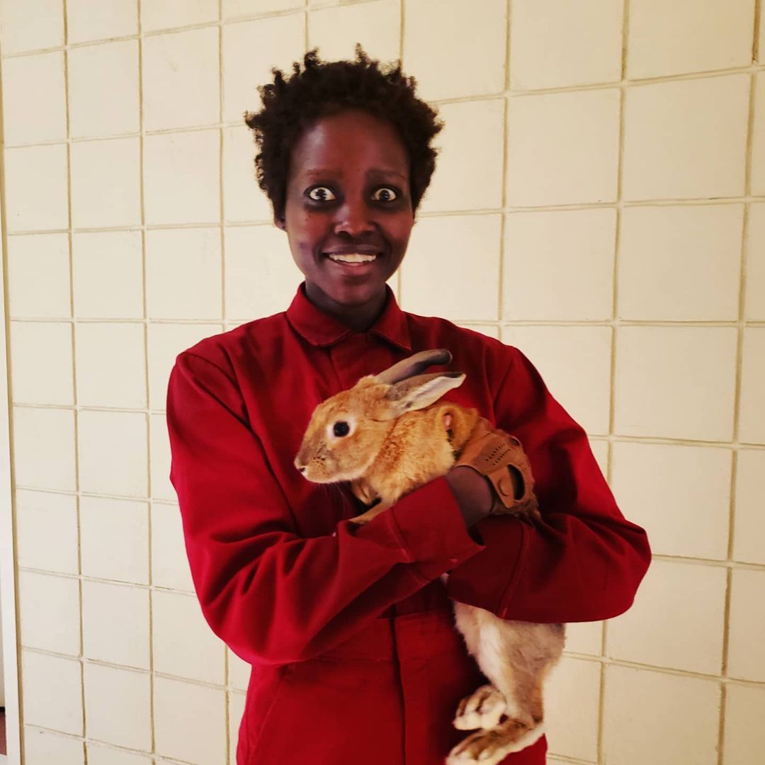 RED ❤ 🐇

@UsMovie #fbf #bts #spookyseason