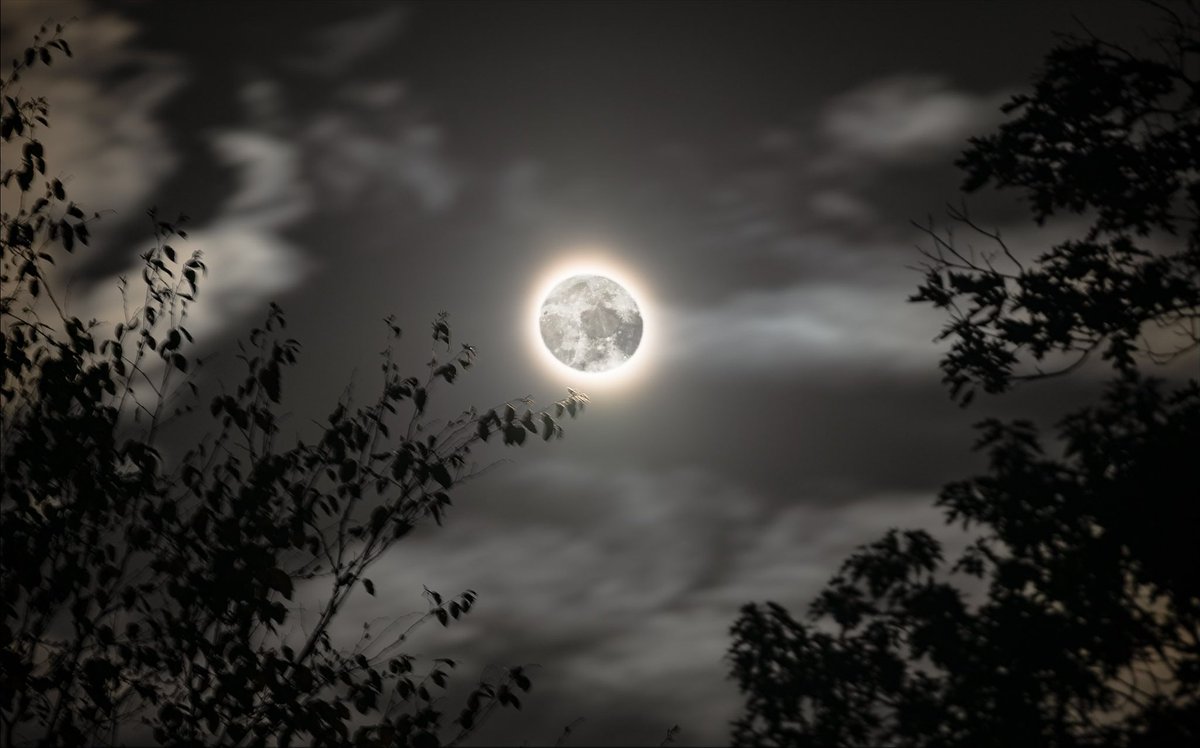 Photography’s Not Dead tweet media