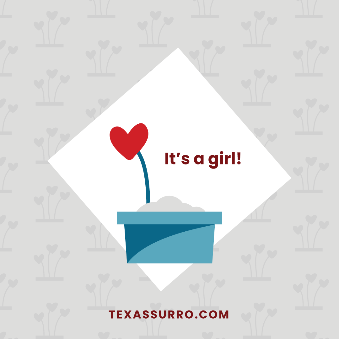 SurroTexas's tweet photo. It's a GIRL! Congratulations new parents W &amp; J! This is such a wonderful time for your growing family. Also, a special thank you to gestational carrier, S, for all her dedication in growing this beautiful bundle! #ConceivingBrightFutures #TexasSurrogacy #Surrogacy #ItsAGirl https://t.co/XWpbsIqdue