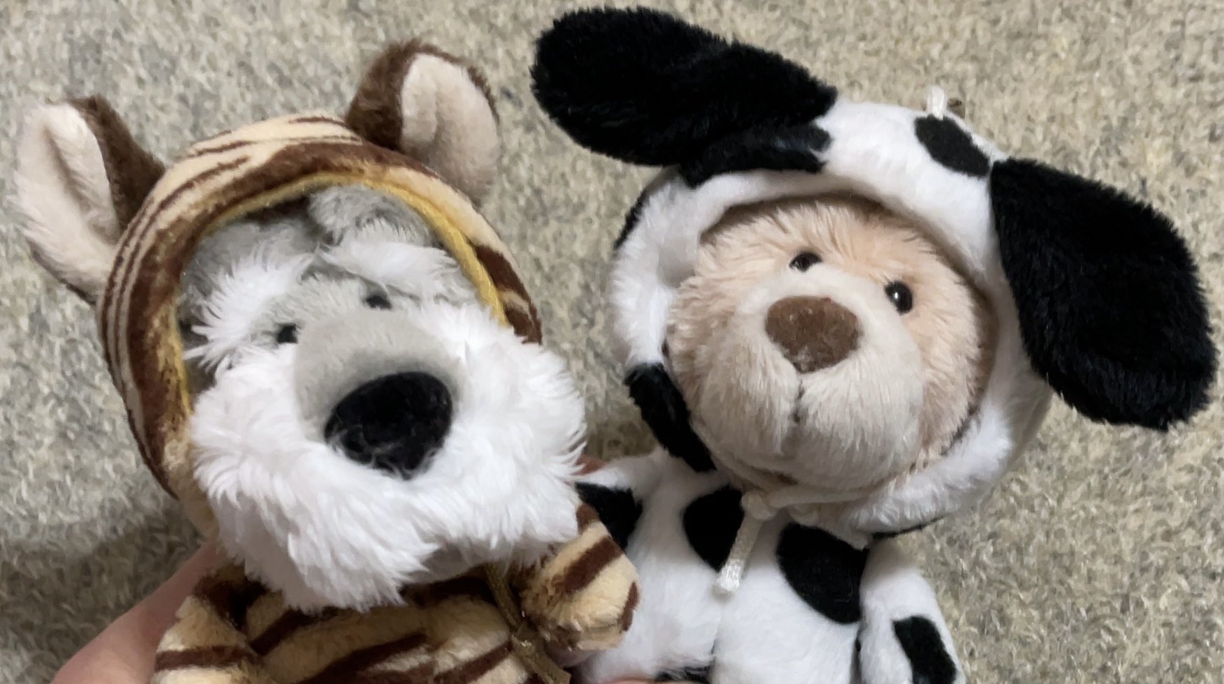 Ar Plazaでnici新作発見 クマとシュナウザーってのはかぶりモノするいつメンにしても なんで今回は牛と虎 ぁ そろそろ丑年 寅年だからか と思ったけど 家にお連れしてから尻尾で気が付いた 君はダルメシアン なんかゴメン でも好きよ Ar Plazaでnici新作発見 クマとシュナウザーってのはかぶりモノするいつメンにしても なんで今回は牛と虎 ぁ そろそろ丑年 寅年だからか と思ったけど 家にお連れしてから尻尾で気が付いた 君はダルメシアン なんかゴメン でも好きよ