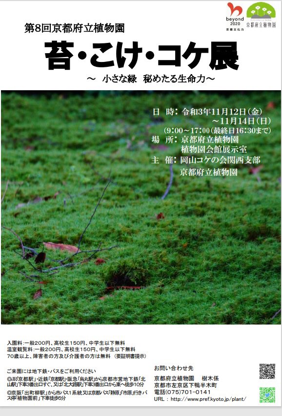 苔テラリウムクリエイター The Moss Themoss2061 Twitter 苔テラリウムクリエイター The Moss Themoss2061 Twitter