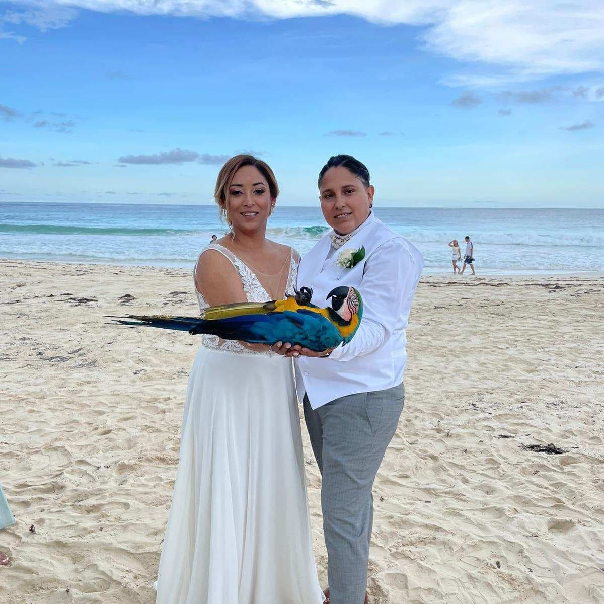 Melissa Torres tweet media