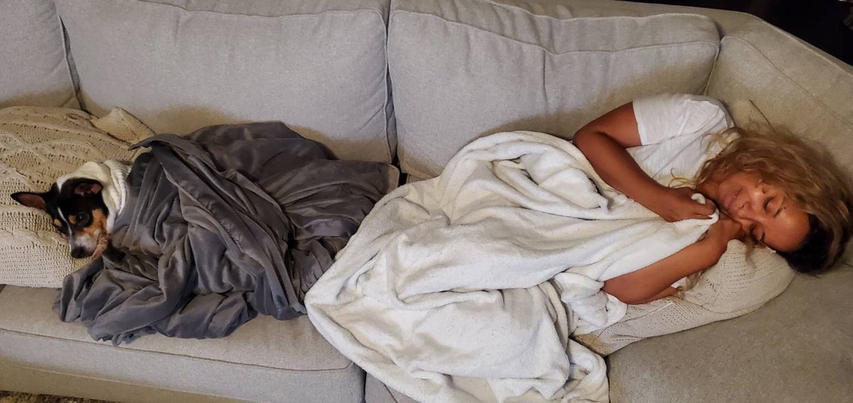 Susannah Kate Plaisted tweet media