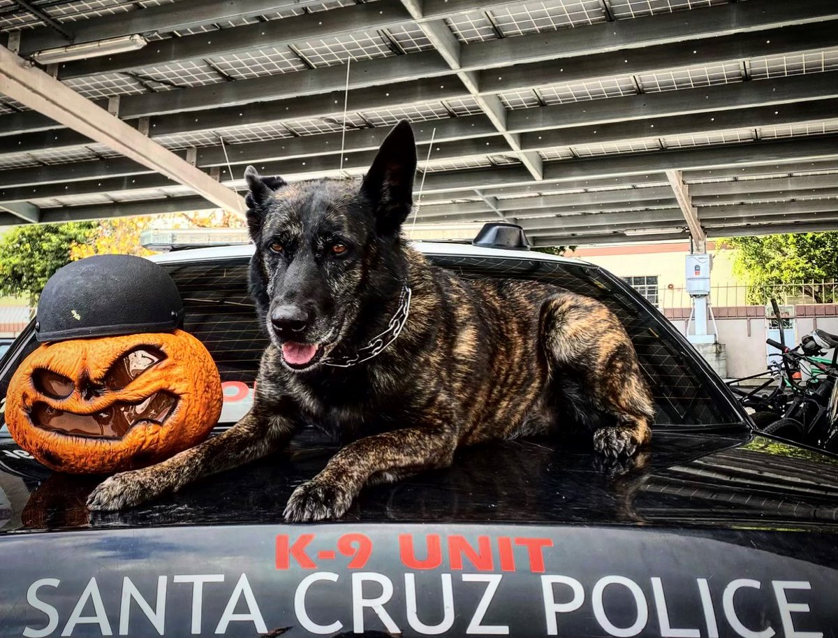 Santa Cruz Police tweet media