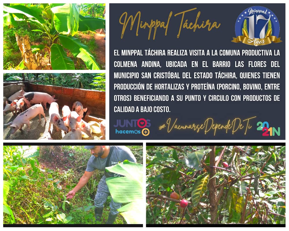 Desde la COMUNA COLMENA ANDINA recibimos la visita con mucho agrado del @MinAlimeTachira a nuestra unidad de producción comunal dónde conocieron nuestra experiencia de trabajo <a href="/Juntosxtachira1/">Juntos por Táchira</a> <a href="/Silfredo_SC/">Silfredo Zambrano</a> <a href="/PSUVTachira/">PSUV Táchira</a> @tachira_gmas <a href="/BloqueNacional2/">@BloqueNacionalComunas</a> <a href="/NorisHerrerar/">Noris Herrera</a> <a href="/FreddyBernal/">Freddy Bernal</a>