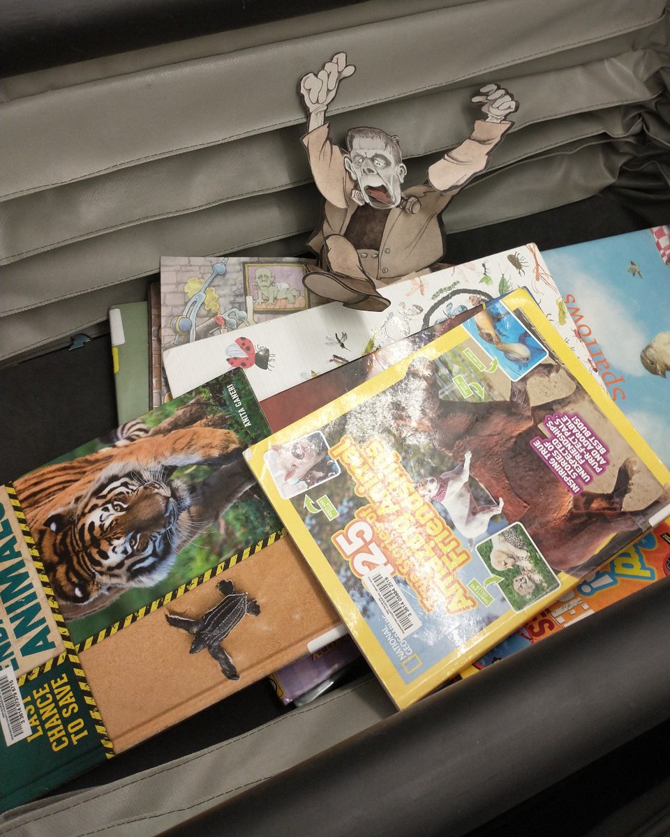 TigardLibrary's tweet photo. You never know what you'll find when you open the book drop! Today we found a monster.
#Tigard #TigardLibrary #PublicLibrary #LibraryMonsters #LibraryHalloween #Halloween #HalloweenBooks #Frankenstein https://t.co/KsgFTZecSd