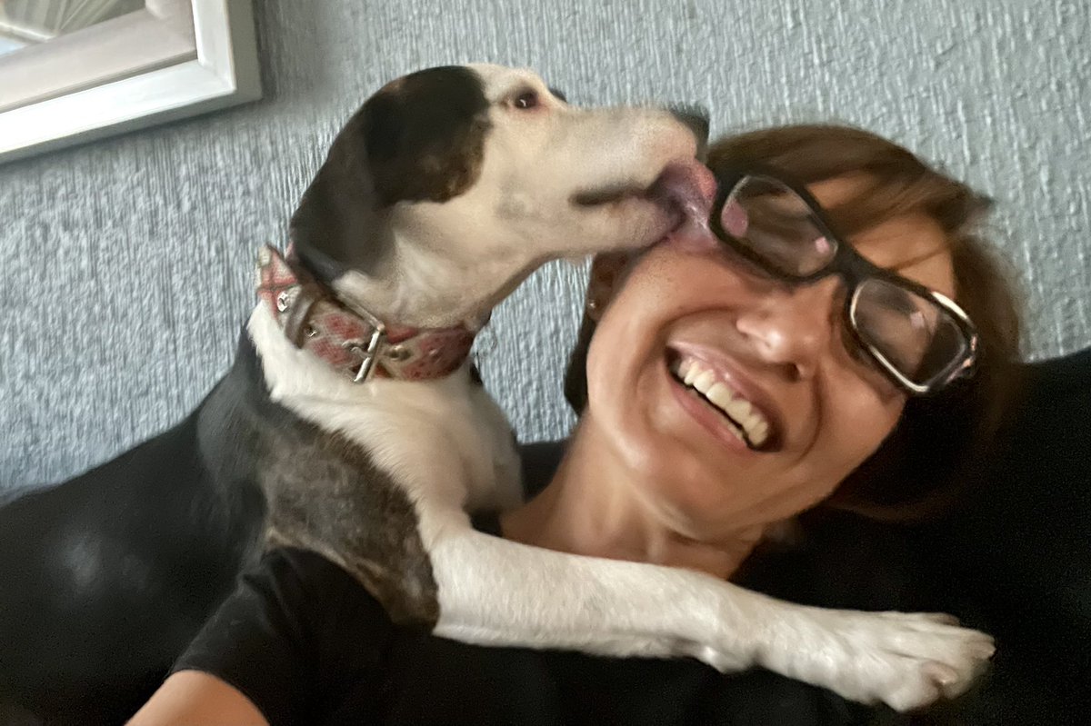 Sandra Hernández tweet media