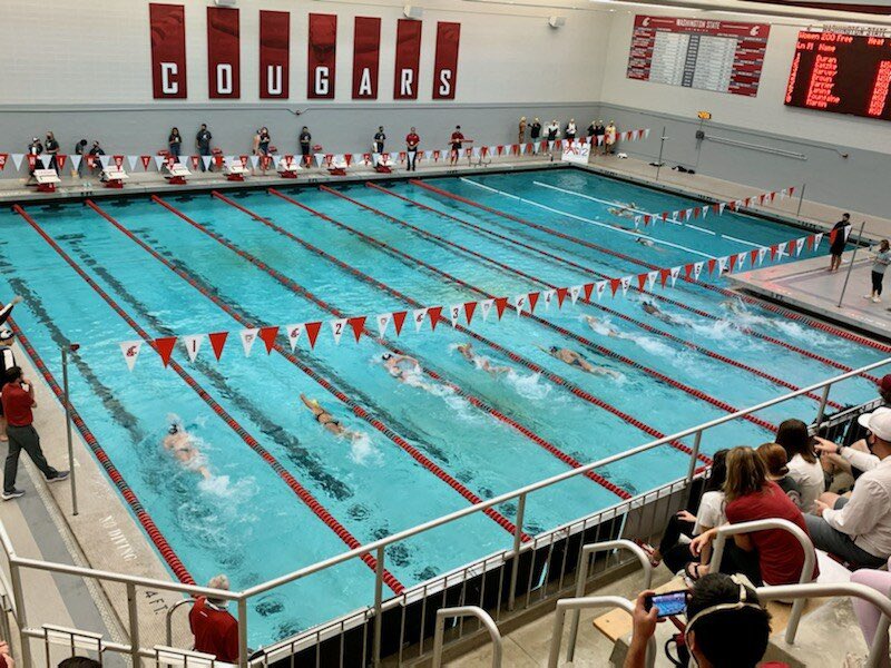 Dump from last week’s swim meet. Tag who you see ! #cougdumpfriday